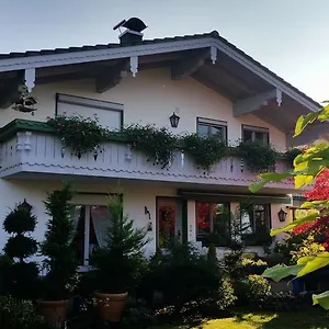 3* Penzion Nussdorfer Gastehaus